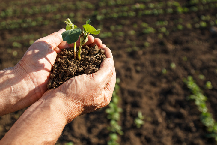 Crop Protection Application