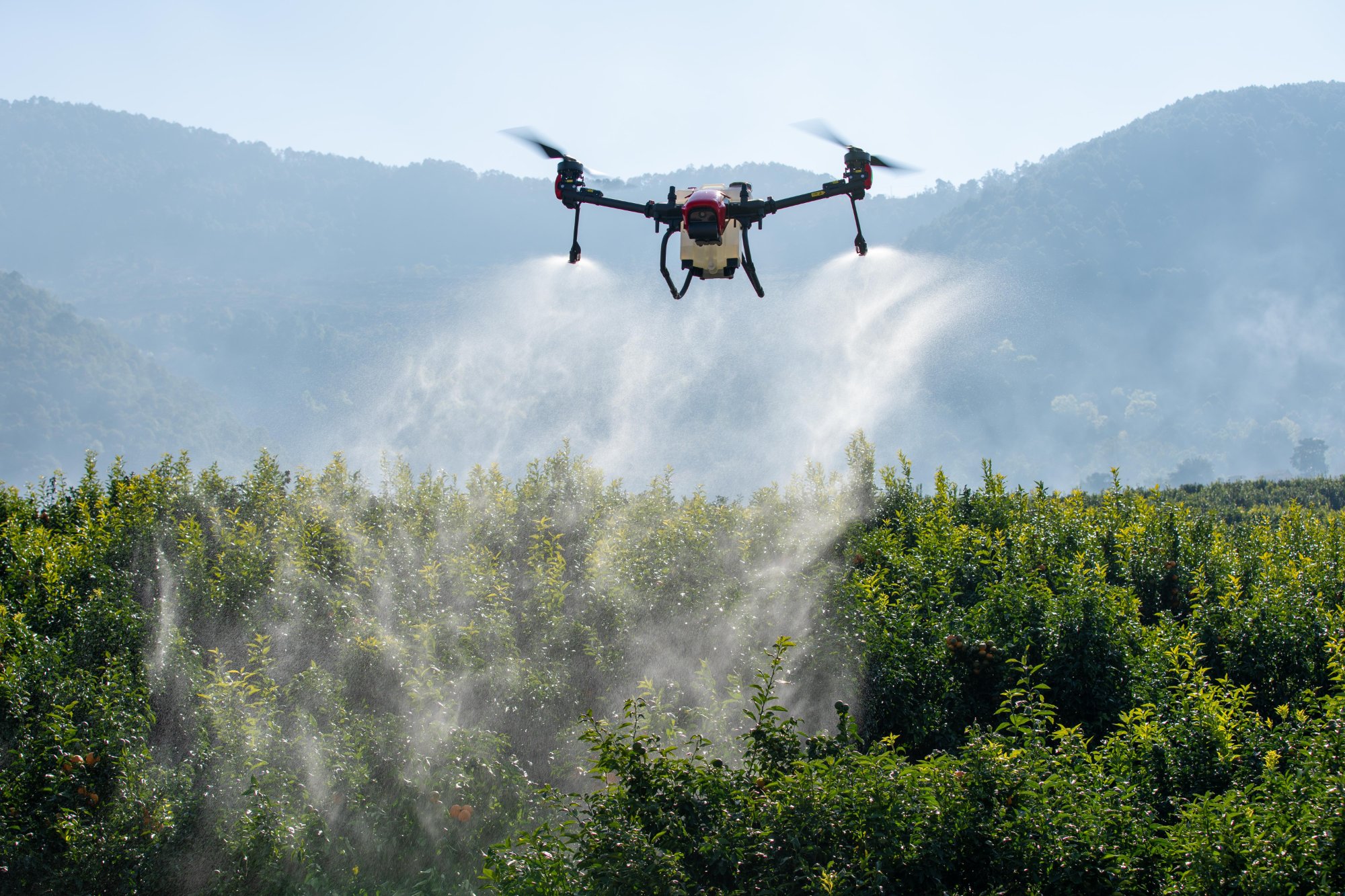 Forestry Application
