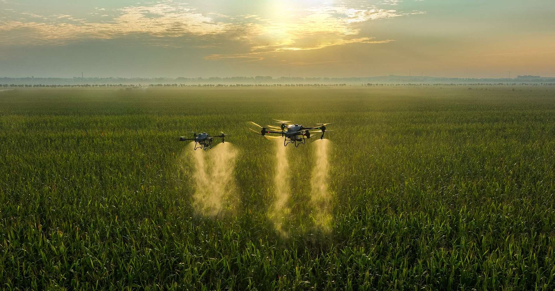 Agricultural Drone in Action
